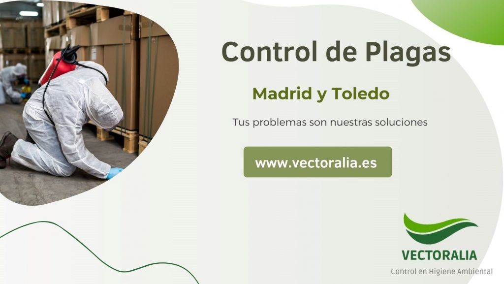 Control de plagas